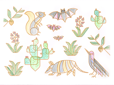 Southwest shapes animals austin illustration logo mark plants southwest southwest vibes texas vector watercolor