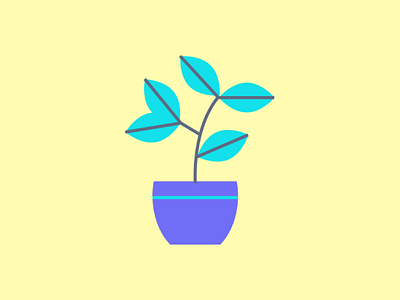 House plant