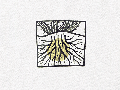 Roots desert halo illustration ink ocotillo roots succulent