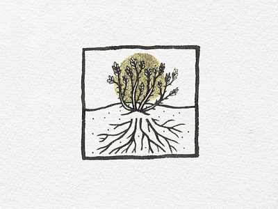 Vine & roots desert halo illustration ink ocotillo roots succulent vine