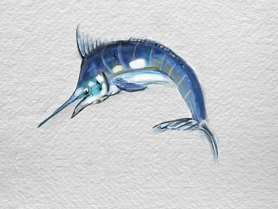 Watercolor Marlin