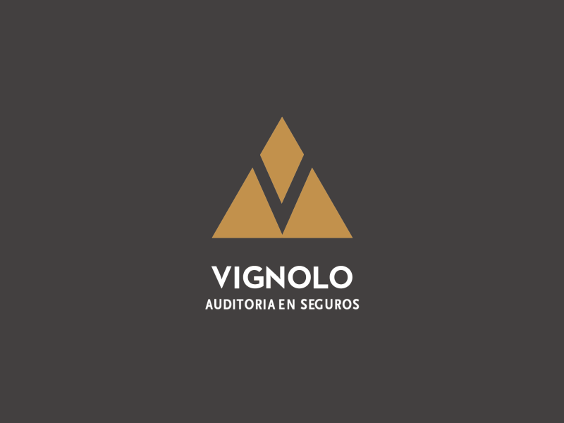 Logo Animation logo 3d illustration motion graphics 2d argentina audit insurance vignolo