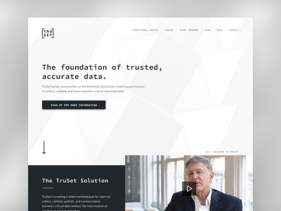 TruSet - Unofficial Brand & Homepage block bold brand bw consensys crypto cryptocurrency data eth etherium geometric truset