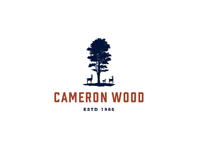 Cameron Wood - Logo Explore design icon illustration logo type typography
