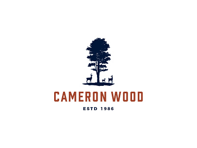 Cameron Wood - Logo Explore