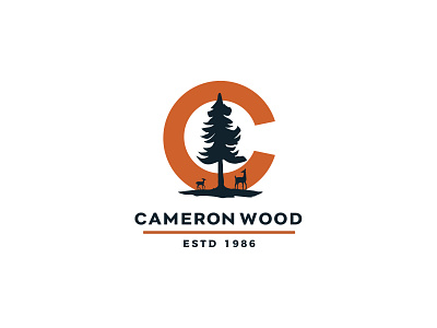 Cameron Wood - Logo Explore 2 branding design logo type typography vector