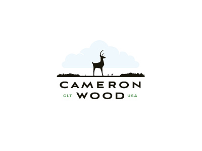 Cameron Wood - Logo Explore v3 branding design logo north carolina type typography