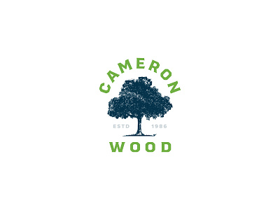 Cameron Wood - Logo Explore v1 branding design illustration logo nc north carolina typography