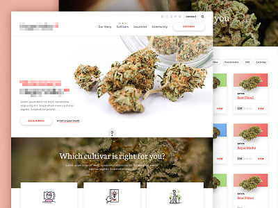 Dispensary Site cannabis home page homepage ui user interface website