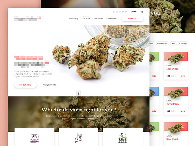 Dispensary Site