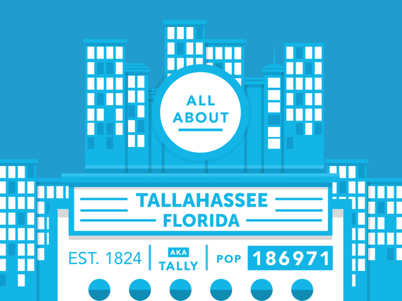 All About Tallahassee Infographic college community flat gif info infographic make tallahassee tally vector weird