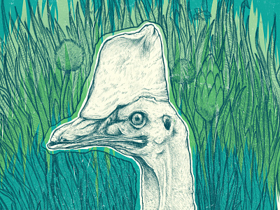 Into the Wild Print bird cassowary detail drawing handdrawn illustration nature screenprint sketch