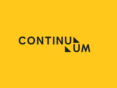 Continuum Projects brand exploration