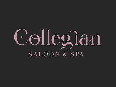 Salon & Spa Logo Design branding logo typography