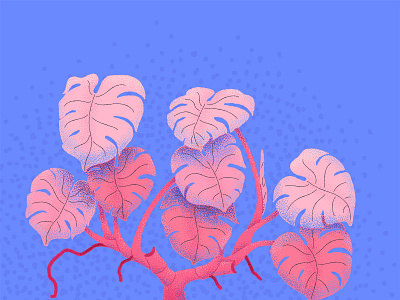 Monstera Deliciosa illustration illustrator illustrator cc leaf monstera pink plant purple texture