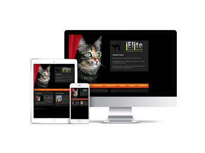Site ielite branding cat design dev devident illustration illustrator photoshop site ui ux web webdesign website xd