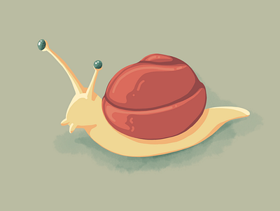 Snail animal animal art animal illustration illustration procreate simple snail