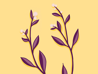 Alternanthera dentata botanical botanical illustration digital art digital illustration flower illustration plant procreate purple simple yellow