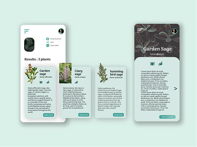 Sylvanus - Know Nature - view 2 app app design application application design application ui cooking design designers encyclopedia forest health medecine plants webdesign