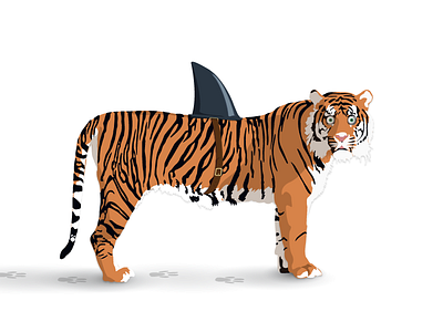 Tigershark animal illustration illustrator