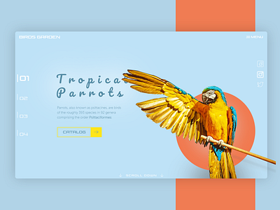 Parrot store design landing design landing page minimal ui ux web web design webdesign website