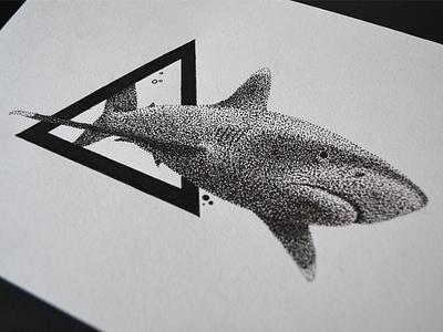 White Tips - Dots dots dotwork illustration shark triangle