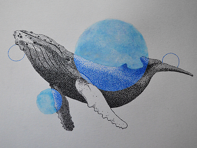 Megaptera dots dotwork humpback whale illustration pointillism watercolor whale
