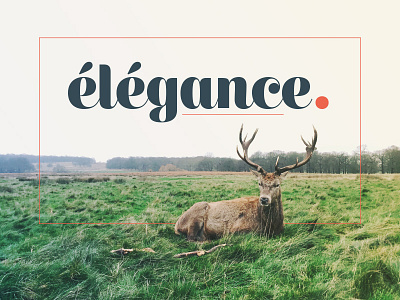 élégance. deer elegance script typography