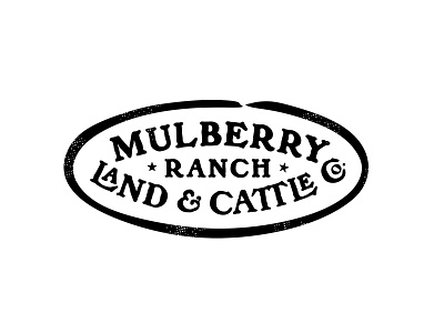 Mulberry Ranch branding cattle classic custom identity illustration logo ranch retro texas typography vintage