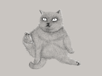 Cat cat illustration
