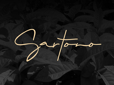 Sartono Signature Font