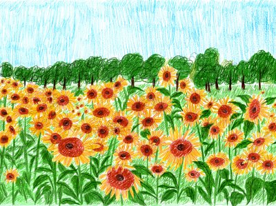 Suns of the earth drawing floral flowers illustration plants