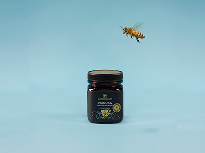 b bee honey honey bee product photography