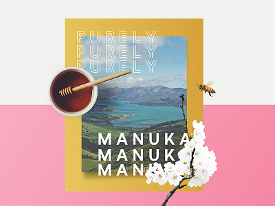 Pink & Gold bee gold honey manuka new zealand pink pure