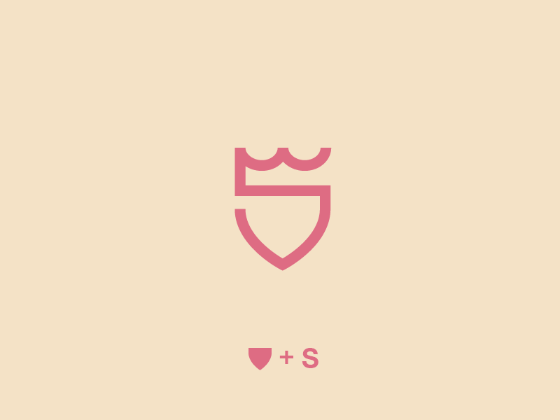 Shield 01 s icon shield