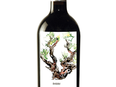 Feréstec, wine label design feréstec packagin silvia cairol wine desing wine label
