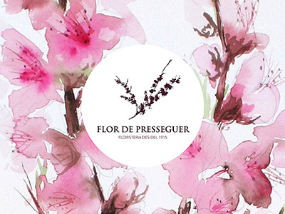 Dribble acuarela flor de melocotoner flor de presseguer peach flower silvia cairol watercolor