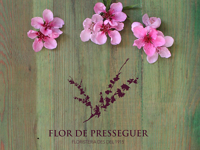 Flor De Presseguer1 acuarela flor de melocotoner flor de presseguer peach flower silvia cairol watercolor