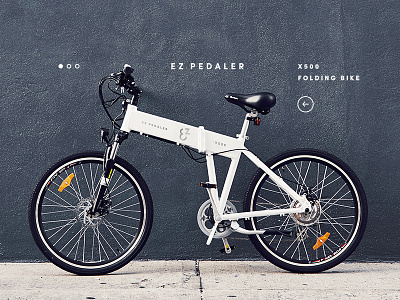 EZ Pedaler X500 bicycle brand ez identity layout site type