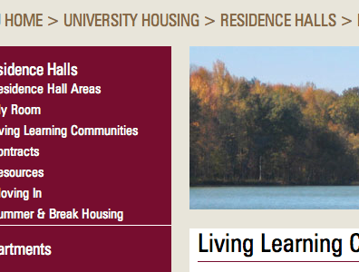 SIU University Housing Redesign @font face css zurich