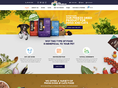 The natural Bowl - HomePage Design