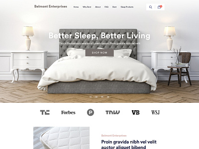 Belmont Enterprises bed belmont enterprises esolzwebdesign illustration mattress typography ui design website design