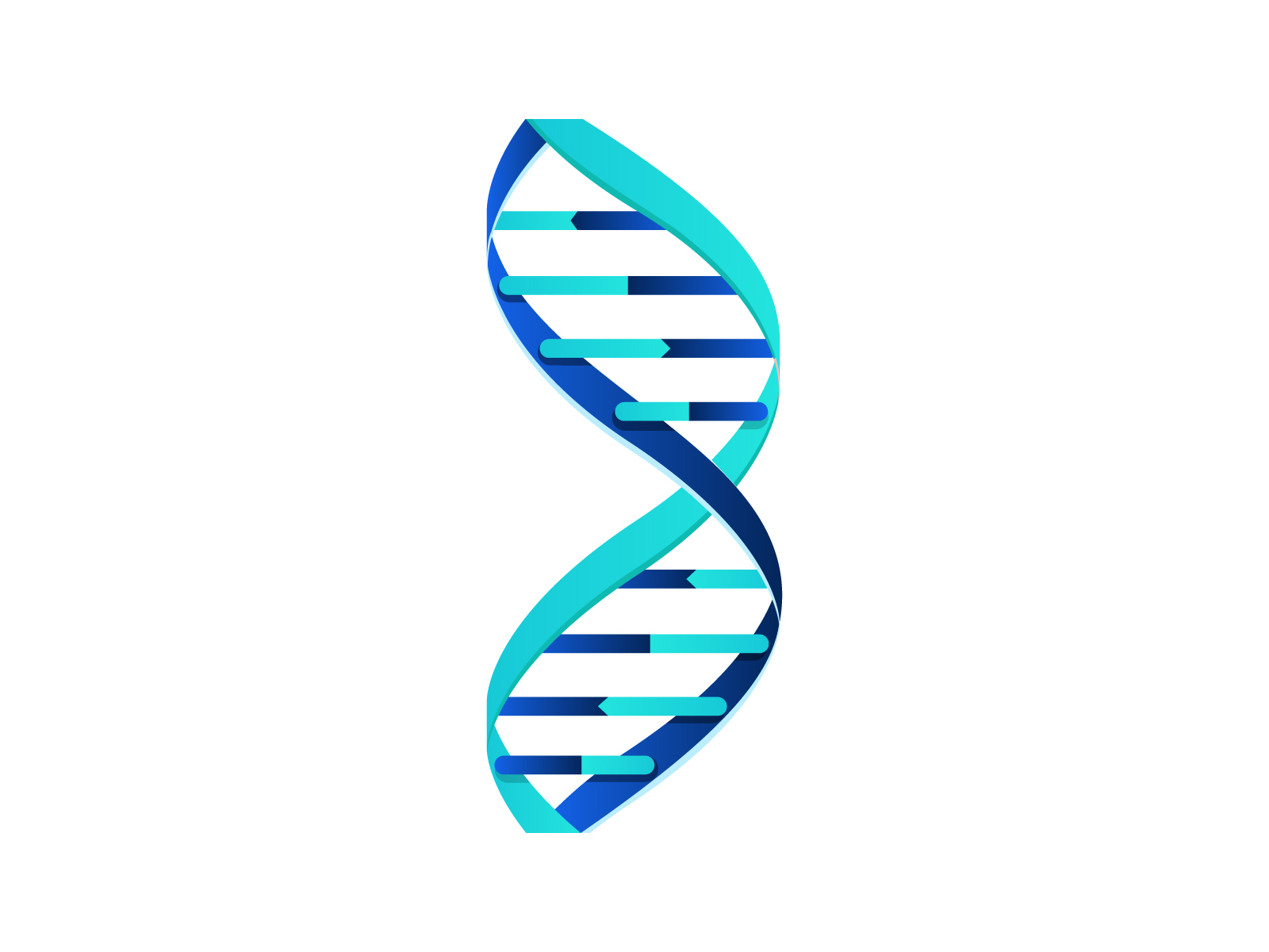 B - DNA by Vaibhav Jadhav on Dribbble