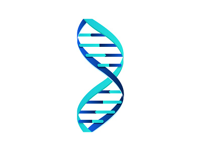 B - DNA