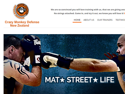Crazy Monkey Defense New Zealand martial arts new zealand web design web development