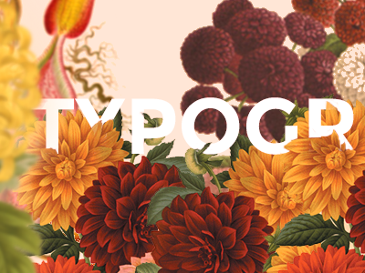 Typography is beauty pattern plants typography
