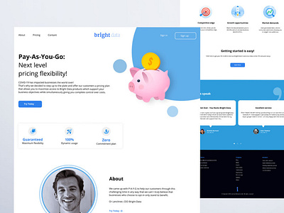 PAYG - BrightData | Landing Page Redesign