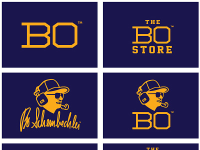 Bo Store branding identity branding celebrity branding illustration logo retail identity store signage vector