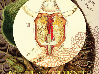 Meet The Patients Album Cover 3 album anatomy collage cover design frog illustration lilly pad patient plant vintage
