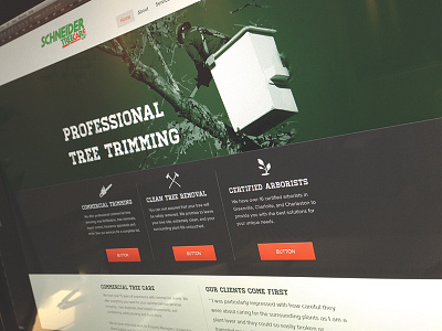 Schneider Tree Care Site illustrator layout photoshop tree web design